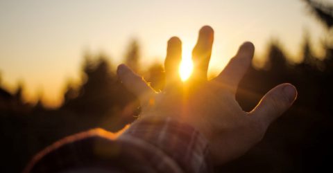 hand waving goodbye to the sunshine/sunset
